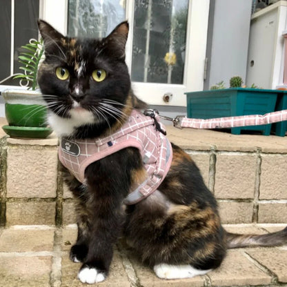 adjustable cat and small dog harness and leash set pink plaid breathable mesh vest for cats and small dogs