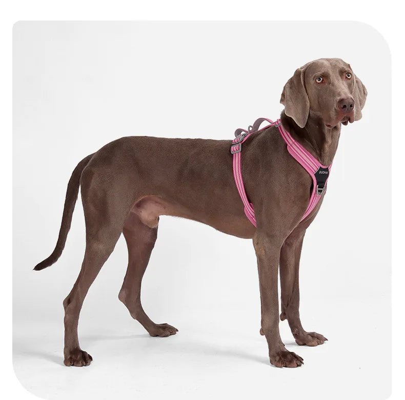 S15d09b0ddea34e26bc1c3f22f9fe8fddf - bestdoggylife.shop
