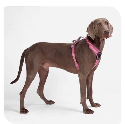 Dog Leash Anti-Pull Pet Harness Comfortable Outdoor Dog Leash Reflective Dog Harness Durable and Stain-Resistant on a dog.