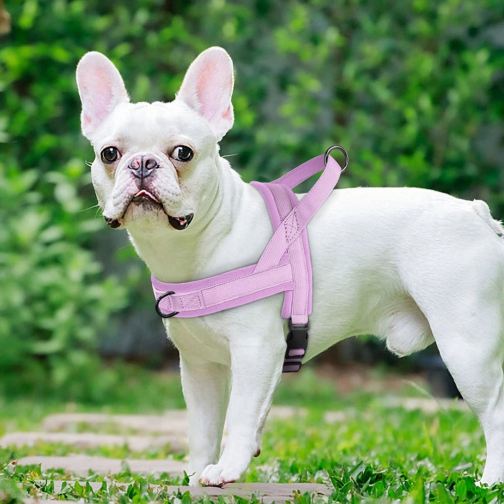 Pink no pull dog harness for small dogs, padded adjustable nylon vest harness for puppy and French bulldog