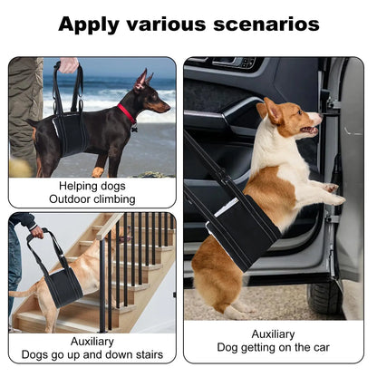 S15e243f3c1264e7482d545a8fe301df0W - bestdoggylife.shop