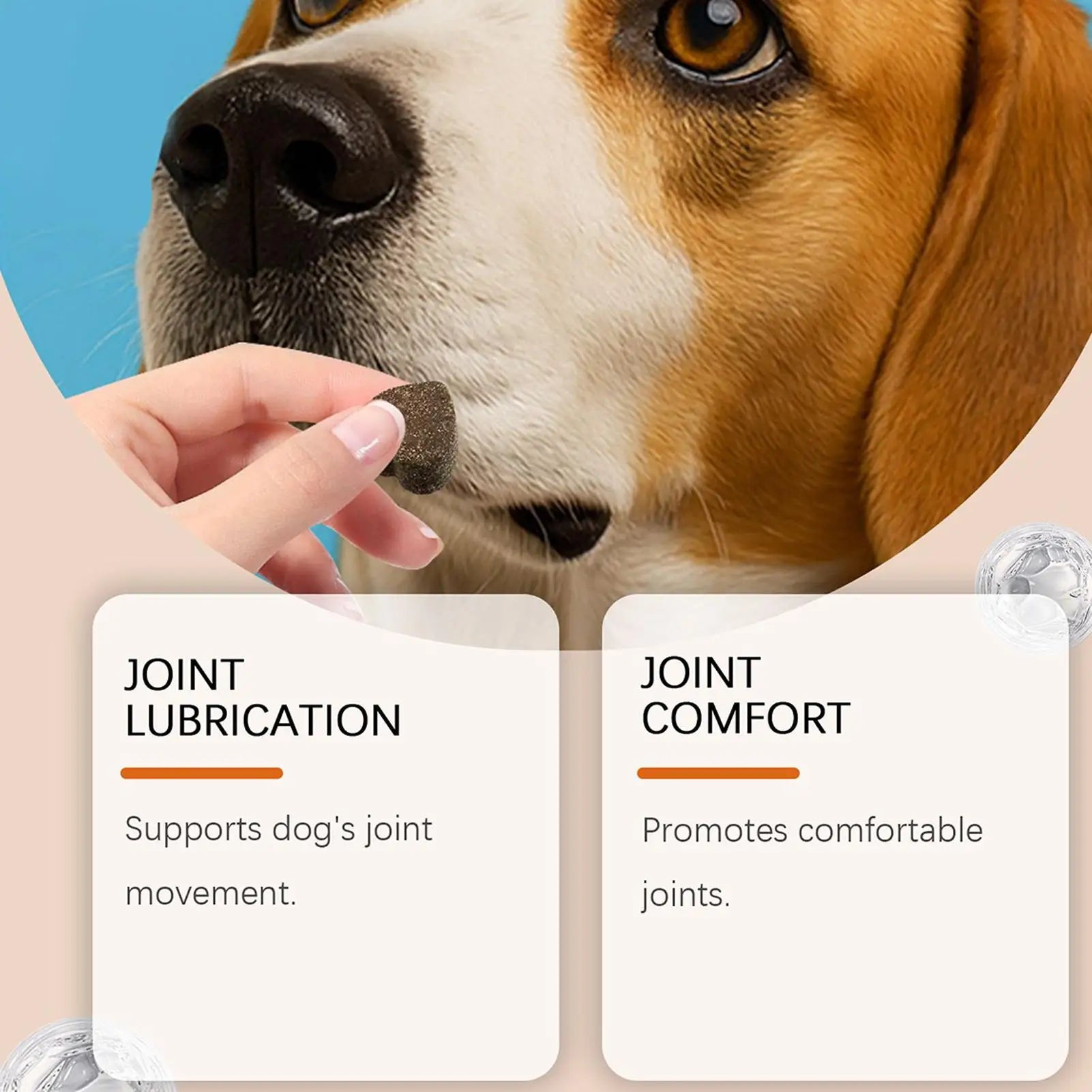 Person giving a dog a joint supplement chew for joint lubrication and comfort benefits