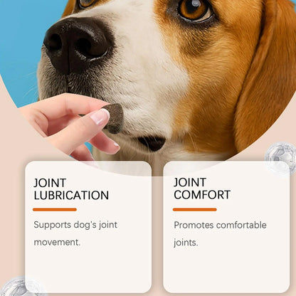 Person giving a dog a joint supplement chew for joint lubrication and comfort benefits