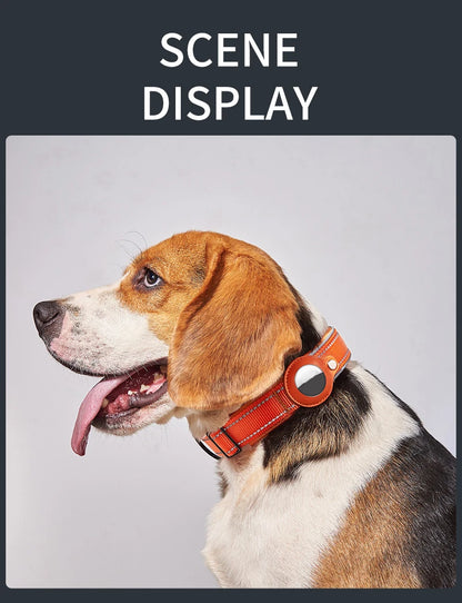 Beagle dog wearing orange adjustable smart tracking collar on neutral background