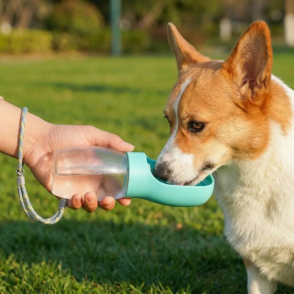 portable dog water bottle for outdoor travel, leakproof pet drinking bowl for dogs and cats, 300ml