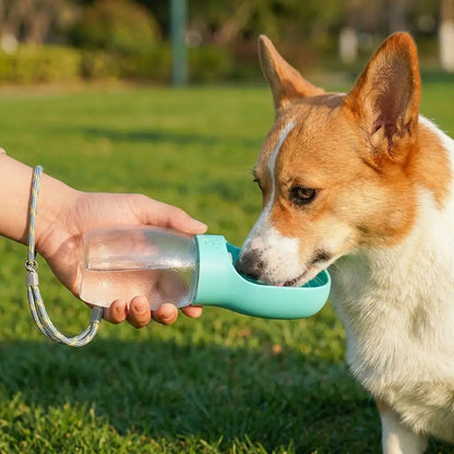 portable dog water bottle for outdoor travel, leakproof pet drinking bowl for dogs and cats, 300ml