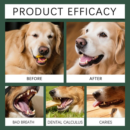 dog teeth cleaning powder product efficacy before and after for bad breath, dental calculus, and caries in dogs