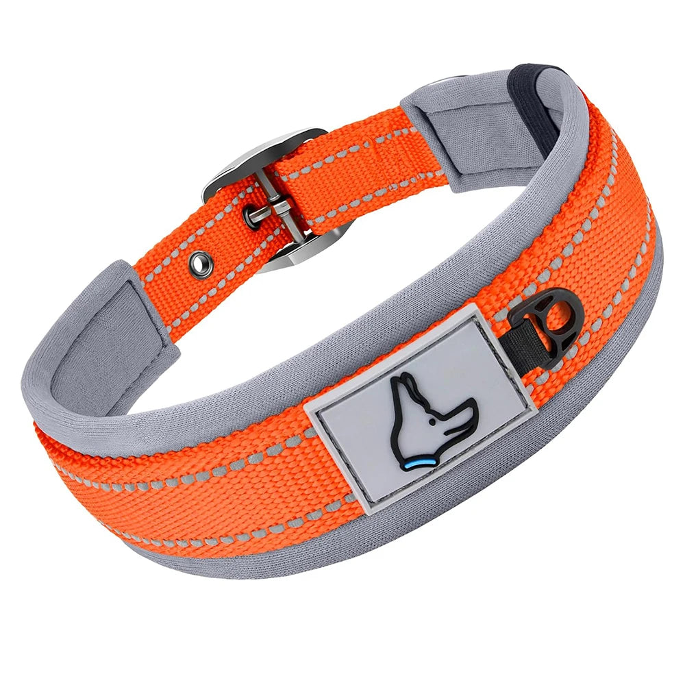 S17662c68cdb54884b0198444ecb868bcD - bestdoggylife.shop