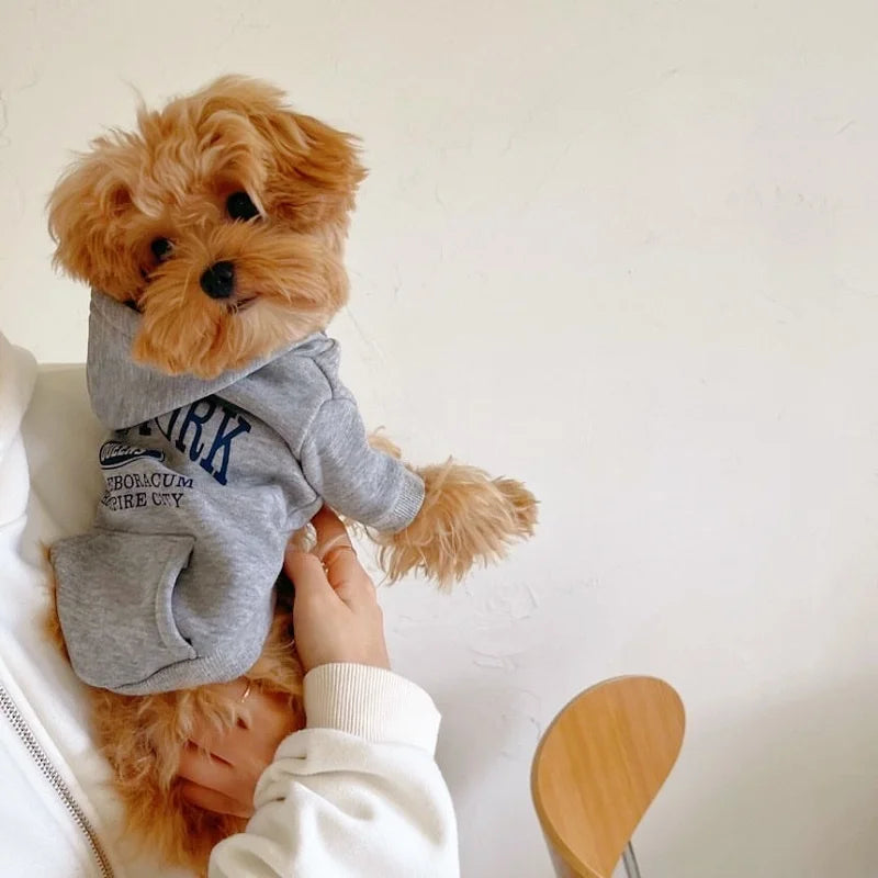 Fashion Dog Hoodies Comfortable Pet Clothes for Small Dogs Soft Sweatshirt Puppy Outdoor Yorkshire Chihuahua Costume Pet Supply