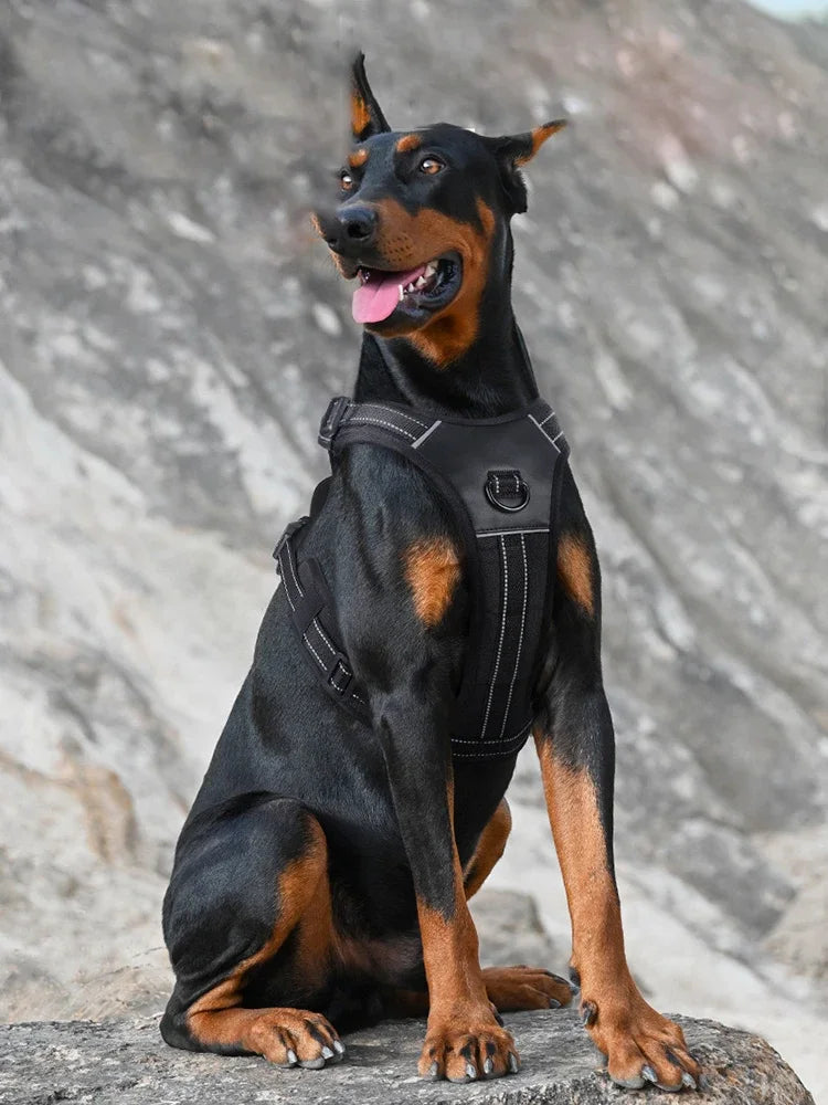 S17b83da61fd14f97a25cfd330868a3eeh - bestdoggylife.shop