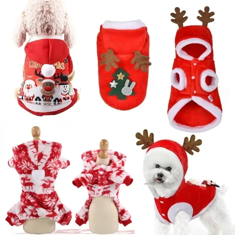 S17c3bb20d81645269a0b77778fb68b56h_d7b6c560-9b52-4190-be83-7c4123112133 - bestdoggylife.shop