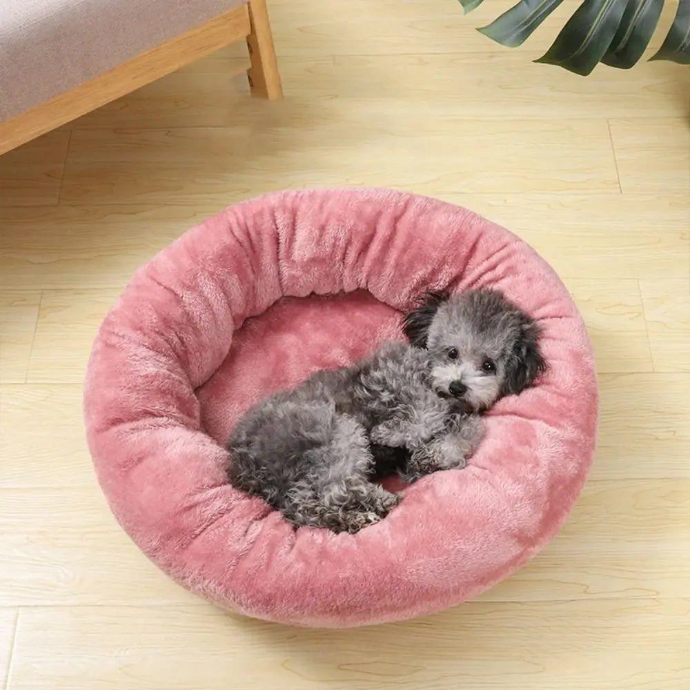 Pink donut dog bed with a small gray puppy resting in a soft, washable round pet bed on a wooden floor