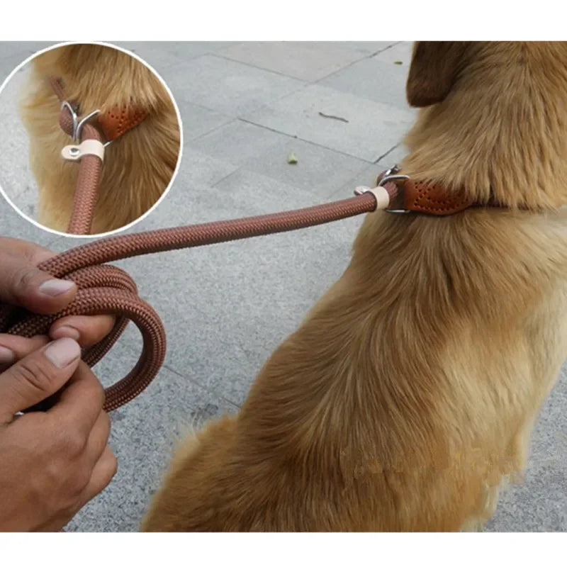 Dog Walking Leash Slip Rope Lead Leash Heavy Duty Braided Rope Adjustable Loop Collar Training Leashes for Large Dogs in use.