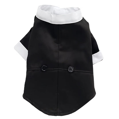 Black and white tuxedo dog jacket with buttons and white collar