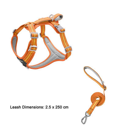 S19e16edf45d14192a6066c0737f0b1dez - bestdoggylife.shop