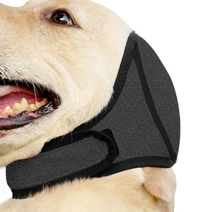 Yellow labrador dog wearing a black calming ear wrap, pet anxiety relief accessory