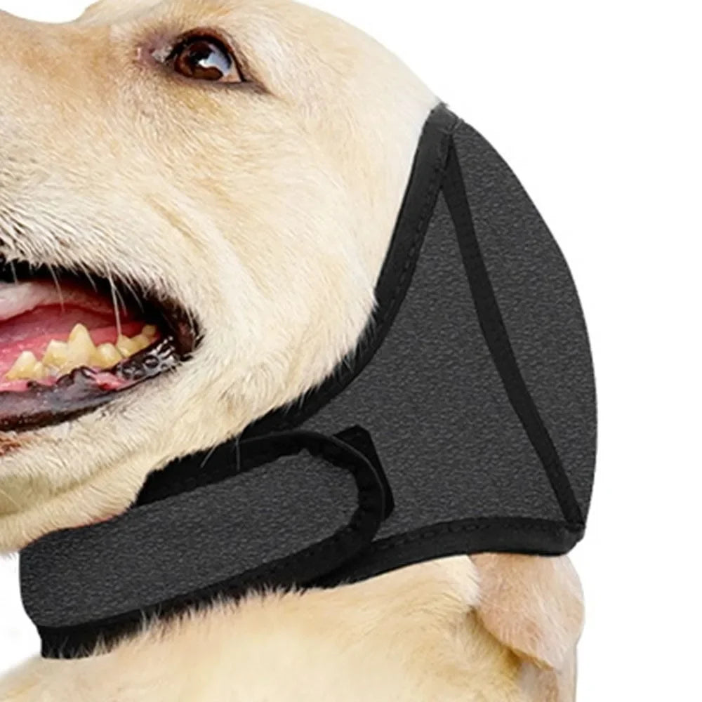 S1a156a53c0cb4618b07a0a2efe51cbb1c_bfe9f2c3-c409-4419-9653-a5fd00f73a77 - bestdoggylife.shop