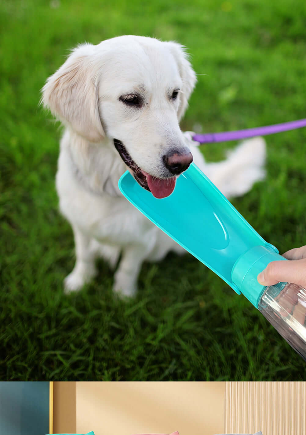 portable dog water bottle dispenser for outdoor hiking, foldable drinking bowl for small and large dogs