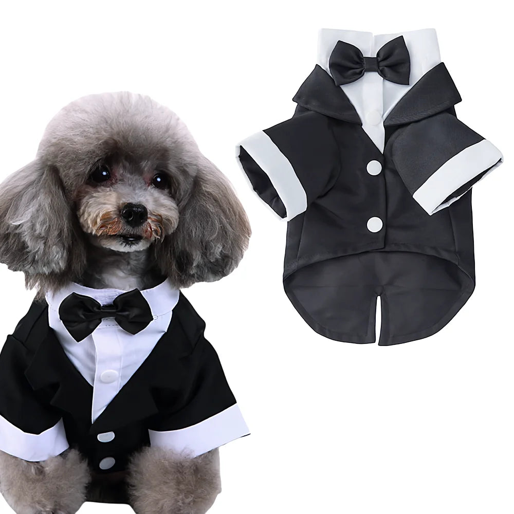 S1ac580f520eb47da9c880ce61327be99v_d5367808-7b97-4a77-9678-f6c462f4d235 - bestdoggylife.shop