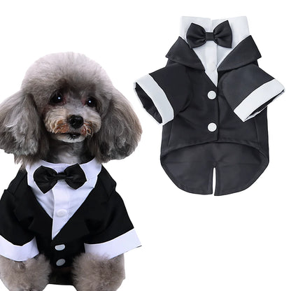 S1ac580f520eb47da9c880ce61327be99v_d5367808-7b97-4a77-9678-f6c462f4d235 - bestdoggylife.shop