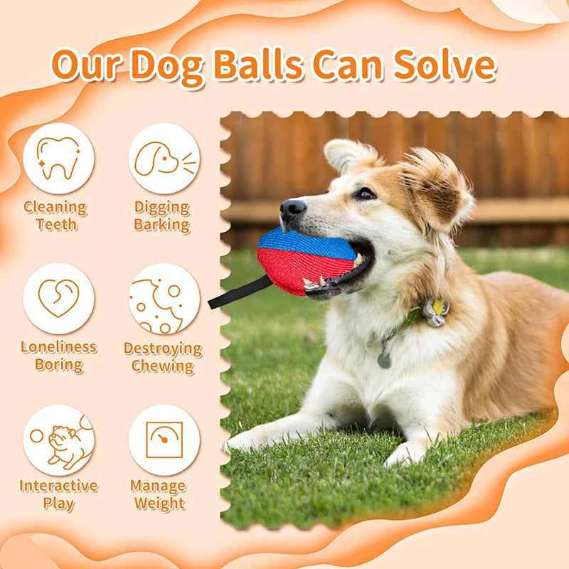 S1b8143bec3d5481695bf4030e179ef32M_410d700a-a1e3-41b9-af29-5dbe3544015e - bestdoggylife.shop