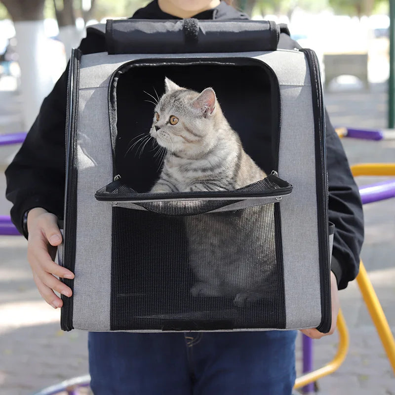 Breathable cat carrier backpack with gray cat inside, foldable pet travel bag for small dogs and cats