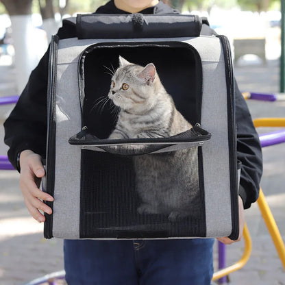 Breathable cat carrier backpack with gray cat inside, foldable pet travel bag for small dogs and cats