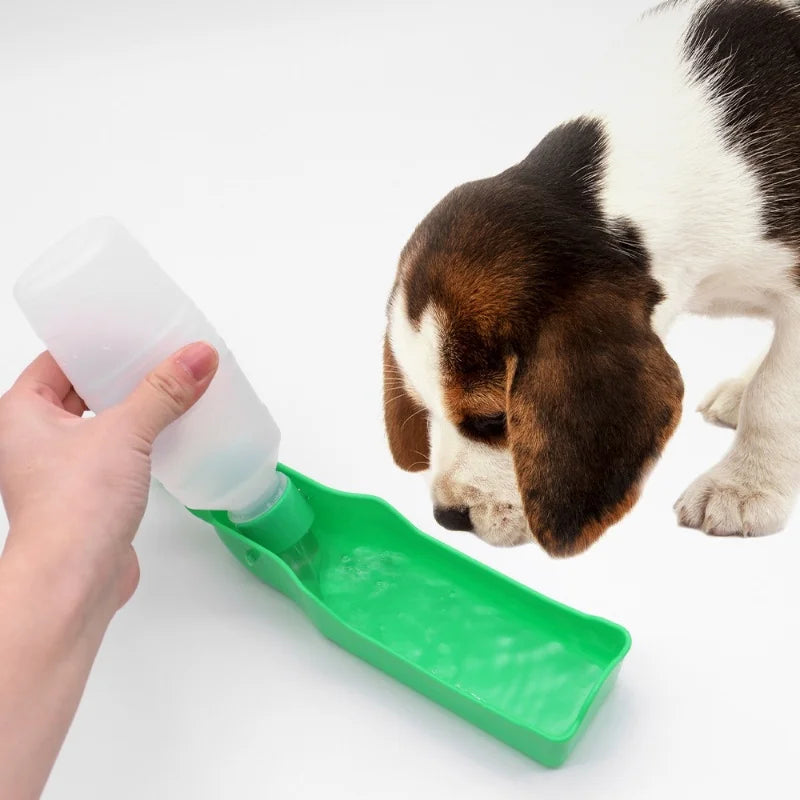 portable dog water bottle for travel, green pet drinking bowl for dogs and puppies, easy outdoor hydration