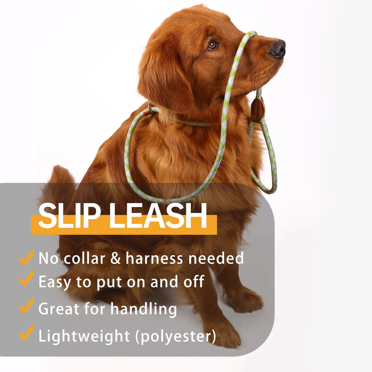 S1c6f0eb7b57a483fab7c9e94747e0065X_92111dfb-c9b5-42e7-92fe-1a838c703ad7 - bestdoggylife.shop
