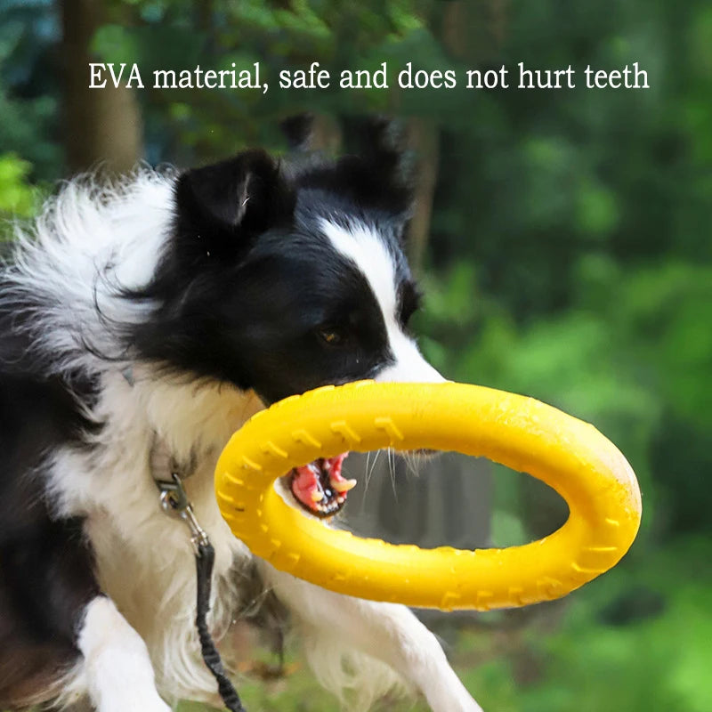 Durable dog toy set for chewing featuring a dog playing with a yellow EVA flying disc in a natural setting.