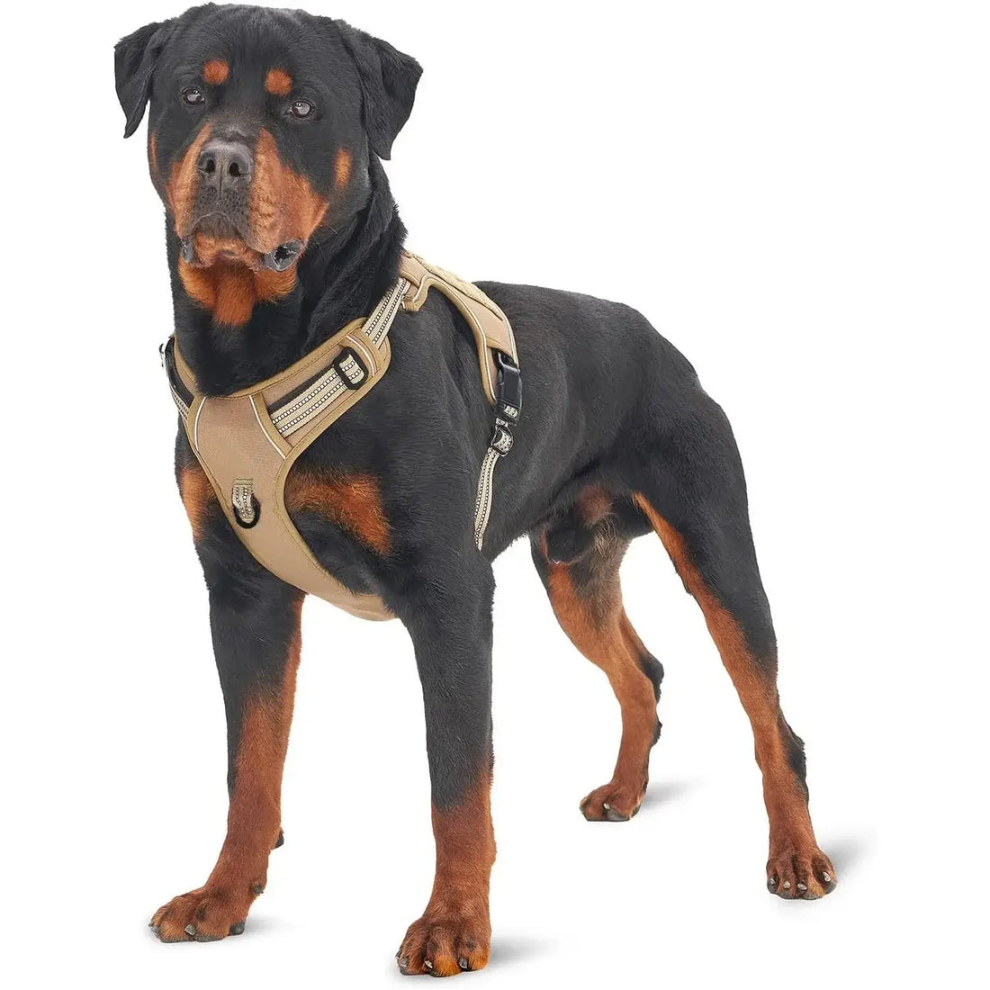 military tactical dog harness on large dog with reflective straps, control handle, and durable no-pull vest
