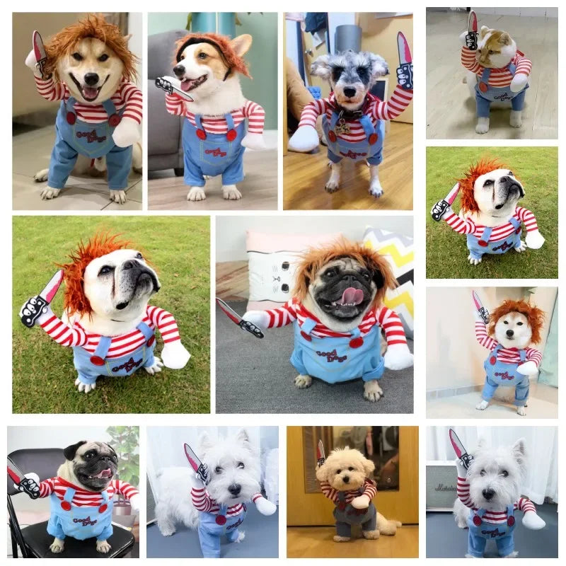 Multiple dogs wearing funny striped and denim doll costumes with fake knives, posing indoors and outdoors.