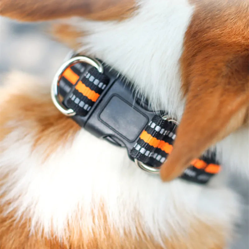 reflective dog collar nylon adjustable striped collar for dogs and cats with orange accents for walking and safety