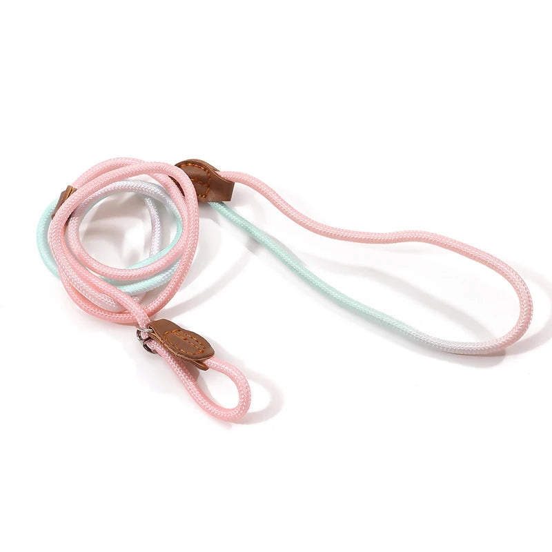 S1e8305053a3147c1ac33169f20d5f0240 - bestdoggylife.shop
