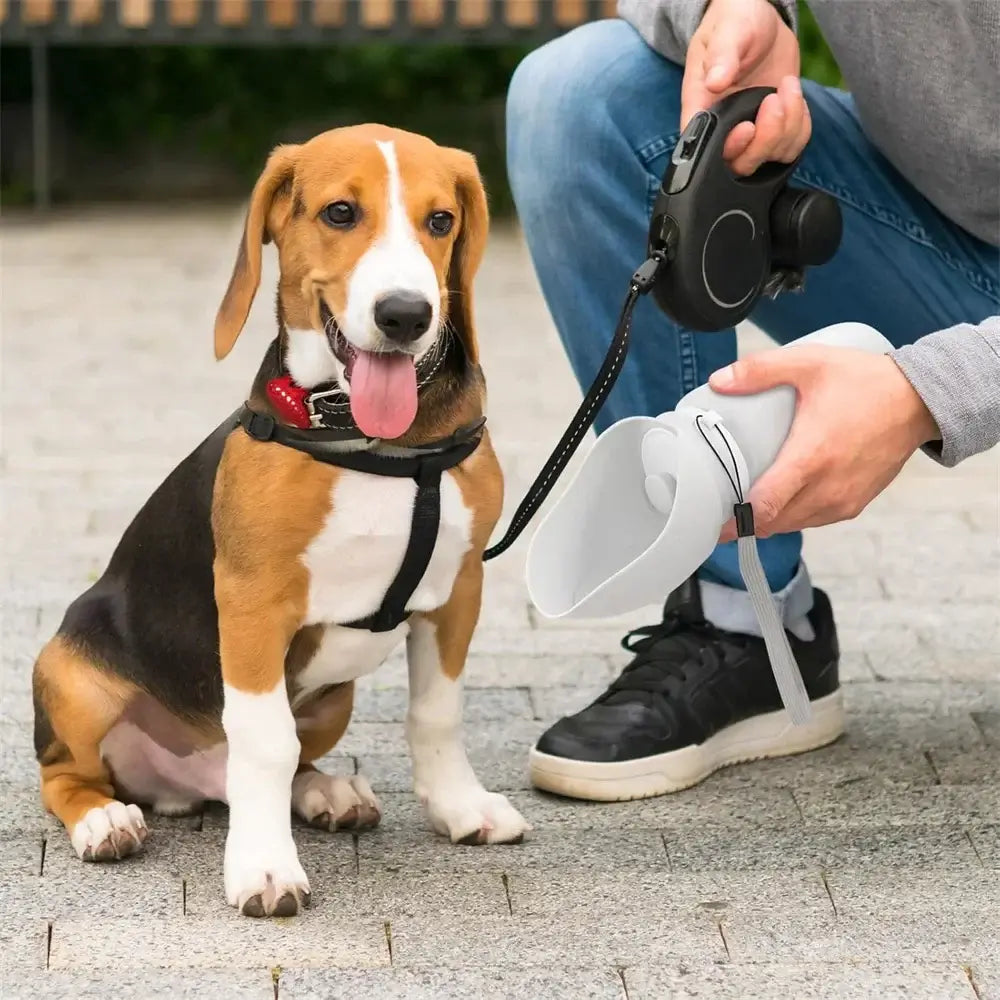 portable dog water bottle for outdoor walks, leak proof foldable silicone design with beagle and owner