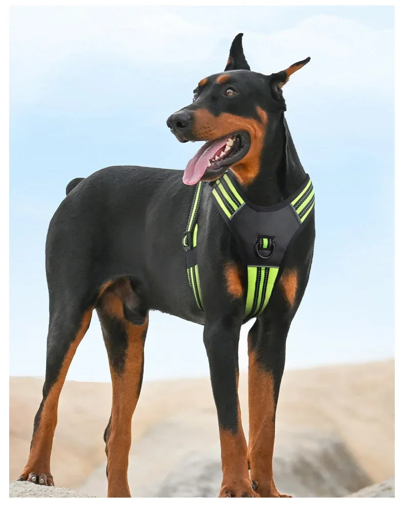 S1f36eb2cf9414ee399989a901d76cd57U - bestdoggylife.shop