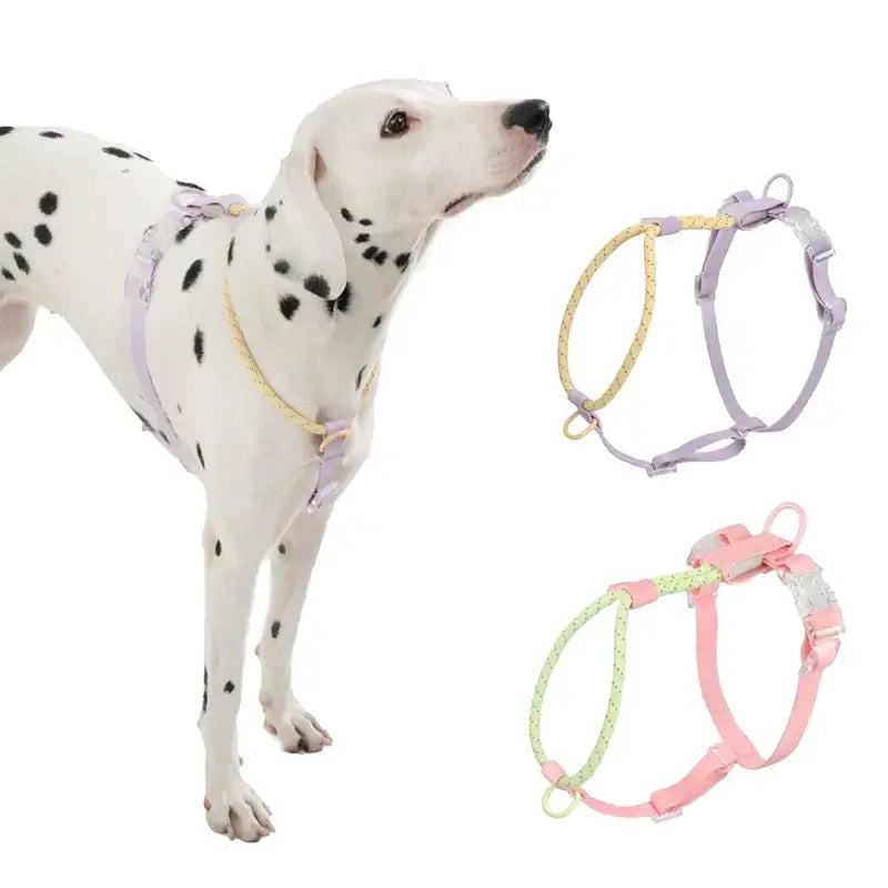 cooling no pull dog harness for medium and large dogs, vest-style nylon harness for everyday spring and summer walks