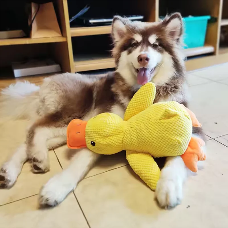 Brown dog lying with a yellow duck toy, bite resistant dog plush toy for chewing and interactive play.