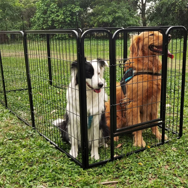 S20048c5b516a4e028391354654144252O - bestdoggylife.shop