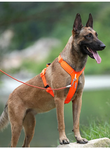 reflective no pull dog harness set on German Shepherd wearing orange training harness and leash