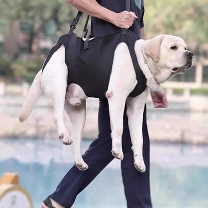 Large dog in a black lift harness carrier being carried outdoors by a person