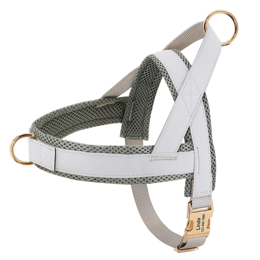 personalized no pull dog harness for medium large dogs, adjustable padded pet walking training vest with free engraving