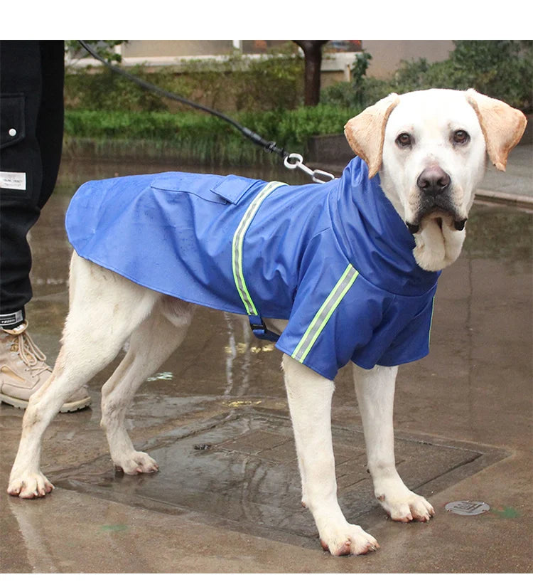 S234f0b34c09d45f594ea4b626ed4b086n - bestdoggylife.shop