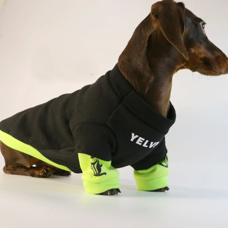 Fashion Dog Clothes For Dachshund French Bulldog Spring Warm Pet Clothing Dog Jacket Pug Sweater Jumpsuit For Samll Media Dogs