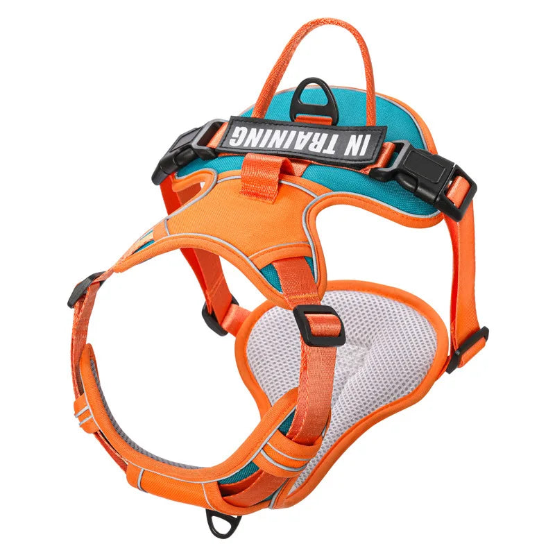 S239256e5fd094f44a8292630fee27951A - bestdoggylife.shop