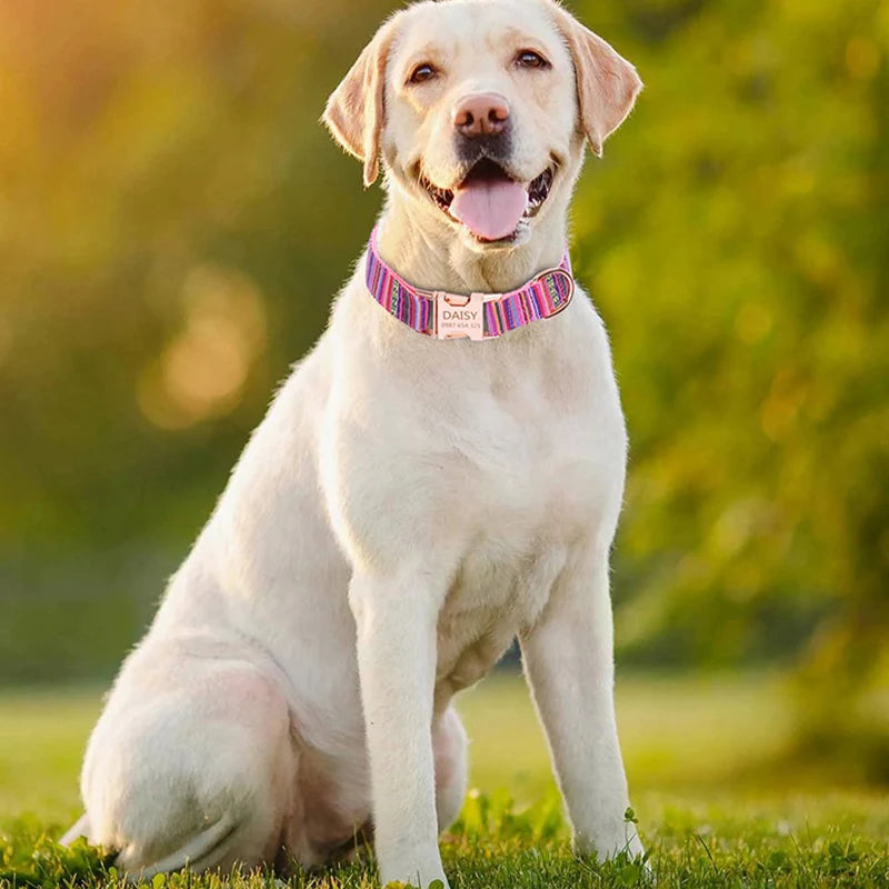 Pet Dog Collar Nylon Personalized Necklace Dog Supplies Free Engraving Name for Small Medium Large Dogs Adjustable Dog Collars