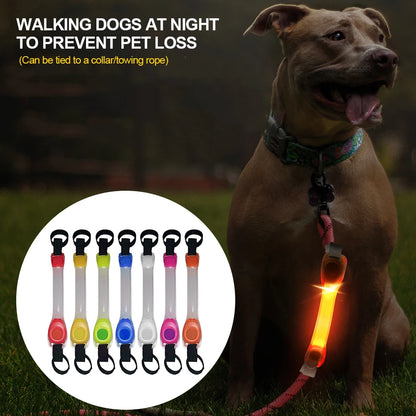 Dog Glowing Collar &amp; Leash Anti Lost Safety Outdoor Waterproof Warning LED Flashing Light Strip Pet Harness Dog Accessories