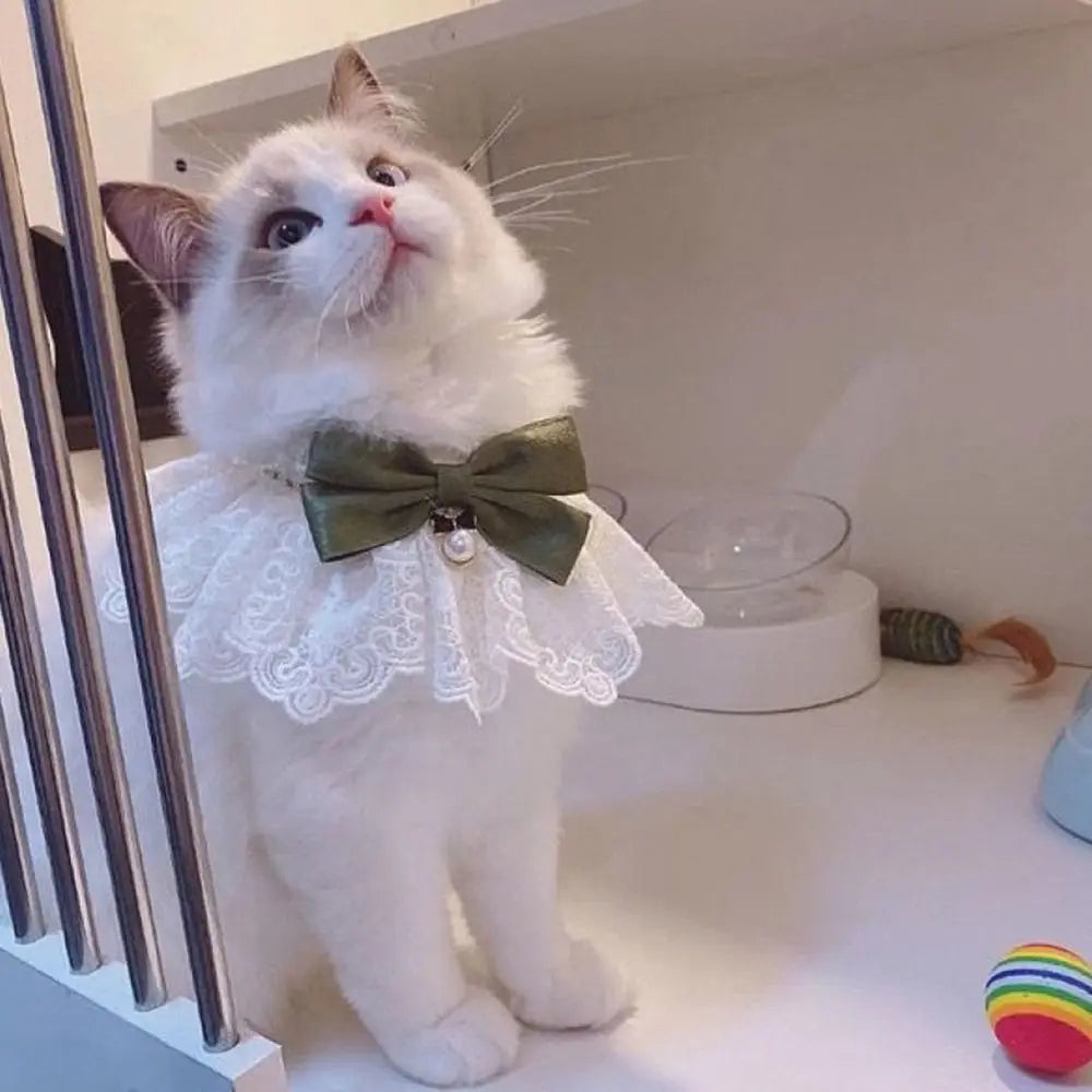Fluffy white cat wears a lace collar with green bow, sitting on a white table near cat toys.