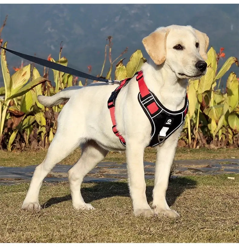 Adjustable reflective dog harness for Labrador, comfortable vest-style dog harness with leash, red and black