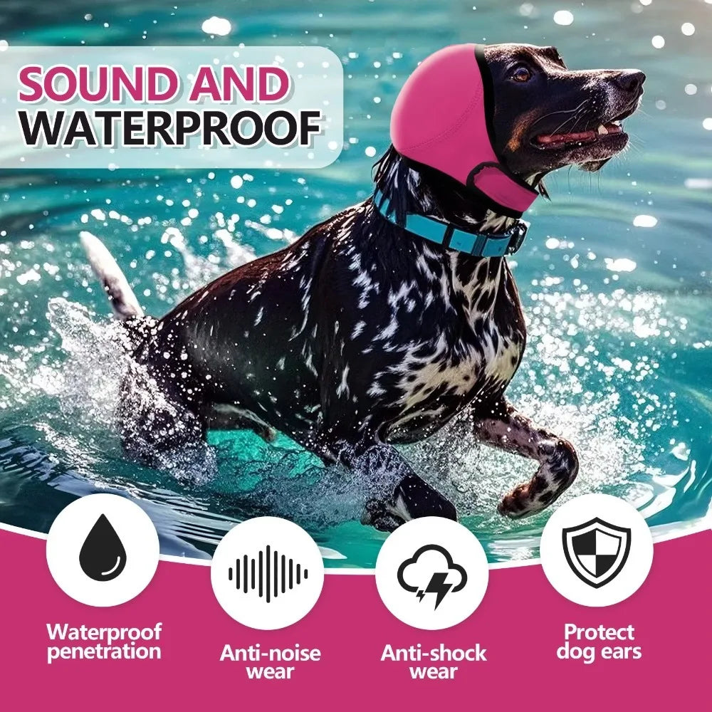 Dog wearing waterproof pink ear cover swimming in water, protective dog ear accessory